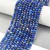 Natural Lapis Lazuli Beads Strands G-L587-B03-02-2