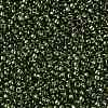 TOHO Round Seed Beads X-SEED-TR15-0333-2