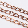 Iron Twisted Chains X-CH-R001-R-1