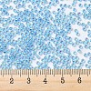 MIYUKI Round Rocailles Beads X-SEED-G007-RR1018-3