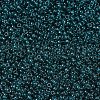 MIYUKI Round Rocailles Beads SEED-G007-RR2406-3