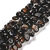 Natural Black Agate Beads Strands G-L595-B02-01-1