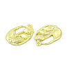 Rack Plating Alloy Pendants FIND-C018-30LG-2