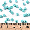 6/0 Glass Seed Beads SEED-S058-A-F437-4