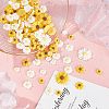 SUPERFINDINGS 110Pcs 6 Style Flatback Hair & Costume Accessories Ornaments Scrapbook Embellishments Resin Flower Daisy Cabochons CRES-FH0001-08-4