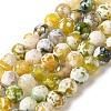 Dyed & Heated Natural Fire Crackle Agate Beads Strands G-P539-B01-16-1