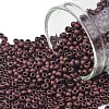 TOHO Round Seed Beads SEED-XTR11-0222F-1