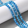 Natural Apatite Beads Strands G-I254-08H-5