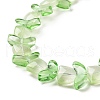 Transparent Glass Beads Strands LAMP-H061-02E-4