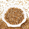 Electroplate Glass Seed Beads GLAA-SZC0007-01E-1