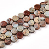 Natural Shoushan Stone Beads Strands G-N346-06A-05-2