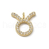 Ion Plating(IP) 304 Stainless Steel Micro Pave Cubic Zirconia Charms STAS-Z107-09G-03-1