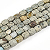 Natural Variscite Beads Strands G-N346-04A-11-2