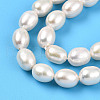 Natural Cultured Freshwater Pearl Beads Strands PEAR-N012-06X-4