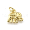 Brass Pendants KK-F899-10G-1