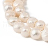Natural Cultured Freshwater Pearl Beads Strands PEAR-P064-19K-03B-4