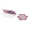 20Pcs 20 Styles Vintage Flower PET Waterproof Self Adhesive Stickers DIY-G108-01A-4