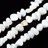 Natural Trochid Shell/Trochus Shell Beads Strands SSHEL-N034-78-A01-1