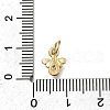 Brass Micro Pave Clear Cubic Zirconia Pendants ZIRC-I070-034G-3