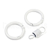 Alloy Spring Gate Clasps PALLOY-Q009-01C-2