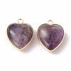 Natural Amethyst Pendants G-C005-01G-16-3