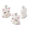 Opaque Resin Pendants RESI-Z036-02P-2