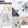 Unicraftale 40Pcs 304 Stainless Steel Leverback Earring Findings STAS-UN0041-87-6
