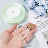 Polyester Organza Ribbons SRIB-WH20020-006C-3