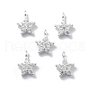 925 Sterling Silver Micro Pave Clear Cubic Zirconia Star Charms STER-D302-04B-S-1