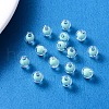 Transparent Acrylic Beads TACR-S135-002B-2