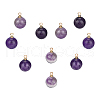 SUNNYCLUE Natural Amethyst Charms G-SC0001-49A-1