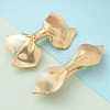 Texture Alloy Hair Barrettes AJEW-M043-01G-01-1