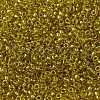 MIYUKI Round Rocailles Beads X-SEED-G009-RR3524-1
