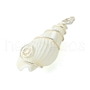 Natural Trumpet Shell Pendants PALLOY-JF02794-02-4