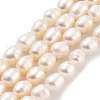 Natural Cultured Freshwater Pearl Beads Strands PEAR-P062-16B-2