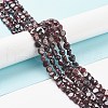 Natural Garnet Beads Strands X-G-L478-52-2