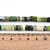 Natural Serpentine Beads Strands G-N346-03A-04-5