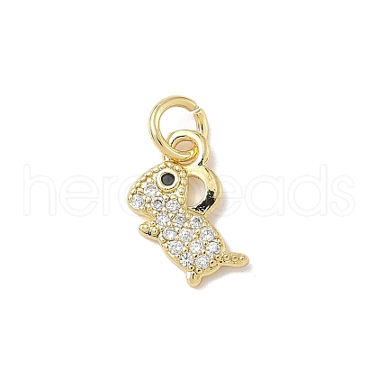 Brass Micro Pave Cubic Zirconia Charms ZIRC-I356-15G-03-1
