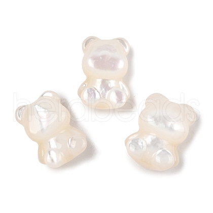 Natural White Shell Beads SSHEL-I026-10-1