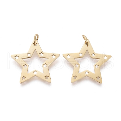 Ion Plating(IP) 304 Stainless Steel Pendants STAS-H100-27G-1
