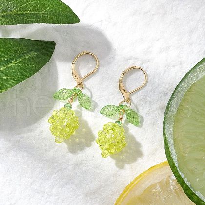 Acrylic Glass Leverback Earrings EJEW-MZ00443-1