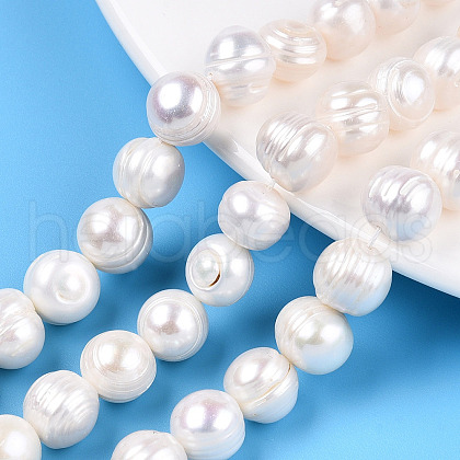 Natural Cultured Freshwater Pearl Beads Strands PEAR-N013-10D-1