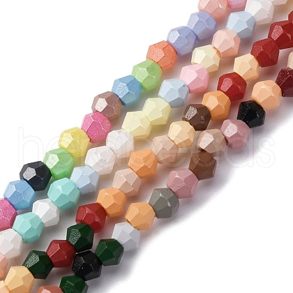 Handmade Lampwork Beads Strands LAMP-R020-02-1