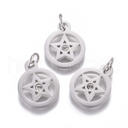 316 Surgical Stainless Steel Charms STAS-L242-04P-1
