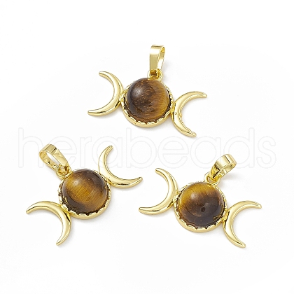 Natural Tiger Eye Pendants G-H283-02G-1