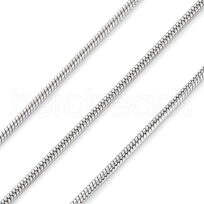 304 Stainless Steel Round Snake Chains CHS-M009-01P-03-1