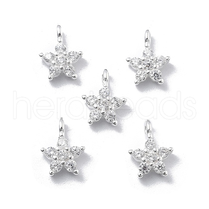 925 Sterling Silver Micro Pave Clear Cubic Zirconia Star Charms STER-D302-04B-S-1