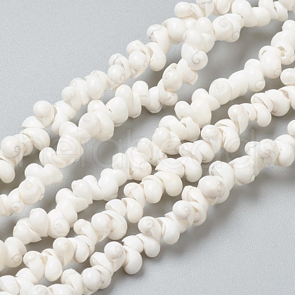Natural Spiral Shell Beads Strands BSHE-I011-11C-1