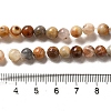 Natural Crazy Lace Agate Round Bead Strands G-M272-03-6mm-2