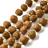 Raw Rough Natural Amber Beads Strands G-U023-D01-2